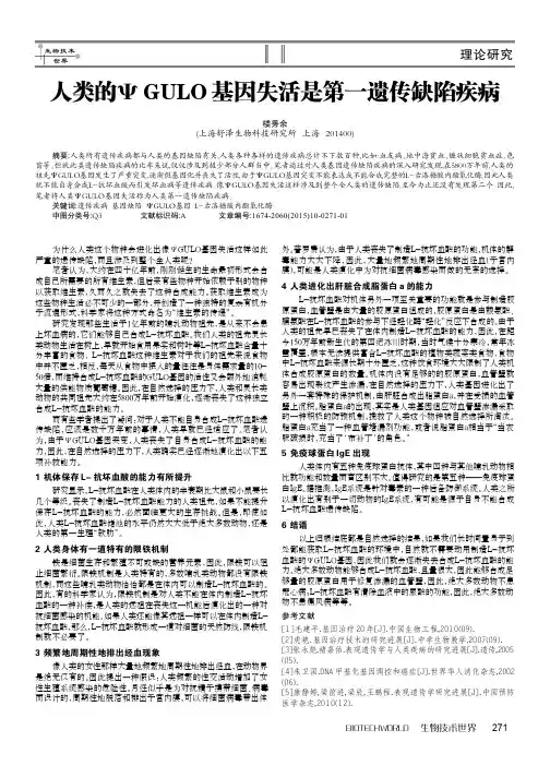 人类的ΨGULO基因失活是第一遗传缺陷疾病