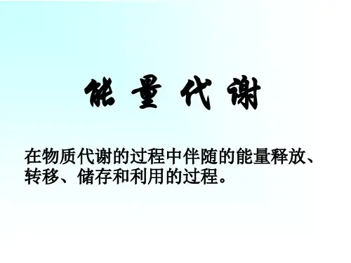 能量代谢ppt课件