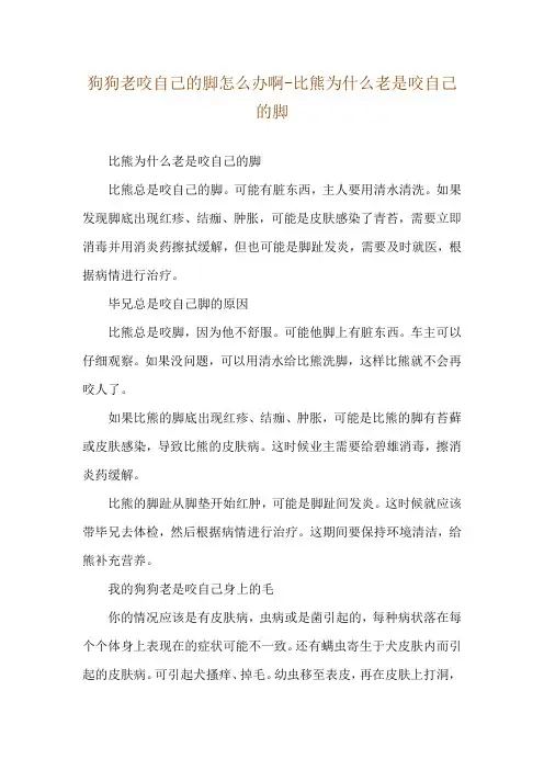 狗狗老咬自己的脚怎么办啊-比熊为什么老是咬自己的脚