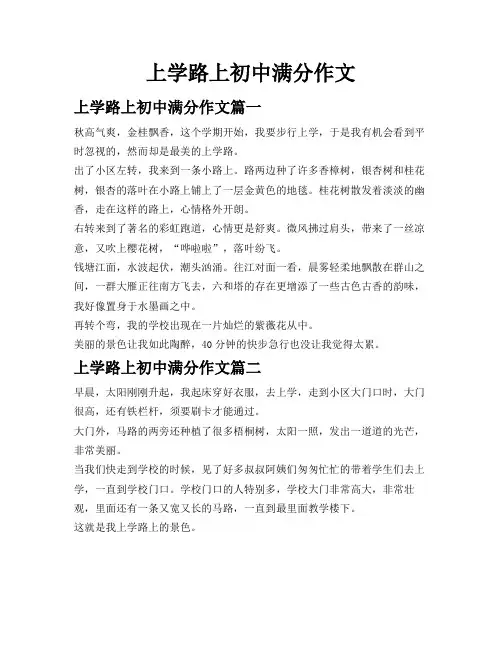 上学路上初中满分作文
