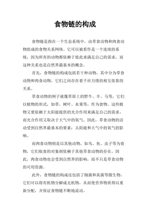 食物链的构成