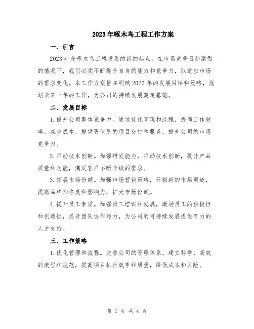 2023年啄木鸟工程工作方案