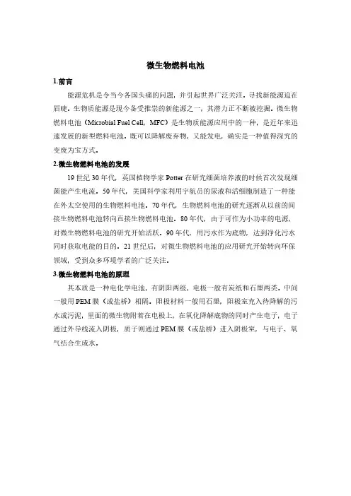微生物燃料电池报告