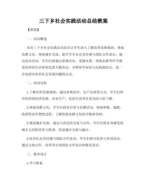 三下乡社会实践活动总结教案