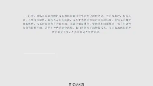 肛周脓肿切开引流术PPT课件