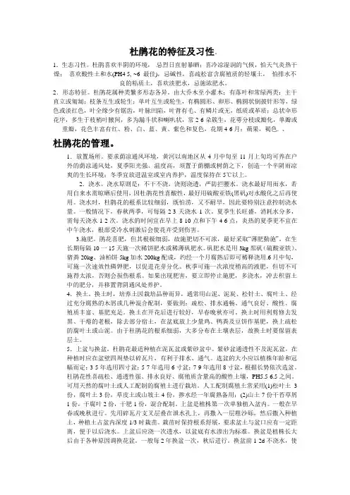 杜鹃花的特征及习性