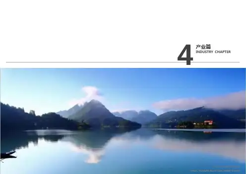 恒大养生谷康养地产项目概念规划设计(下-产业篇)