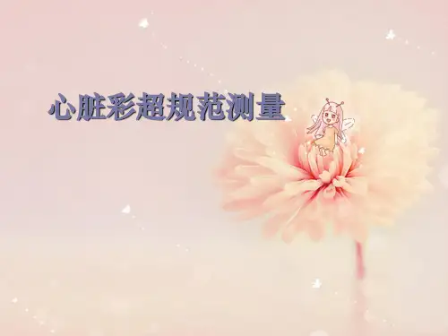 心脏彩超规范测量ppt课件