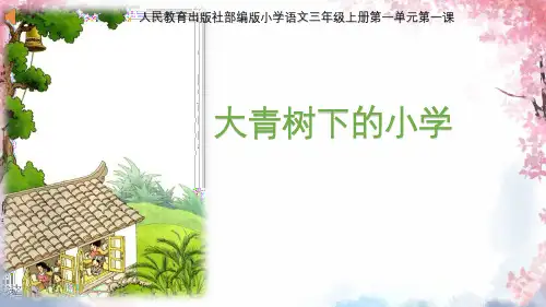 新部编人教版三年级语文上册《大青树下的小学》精品课件ppt