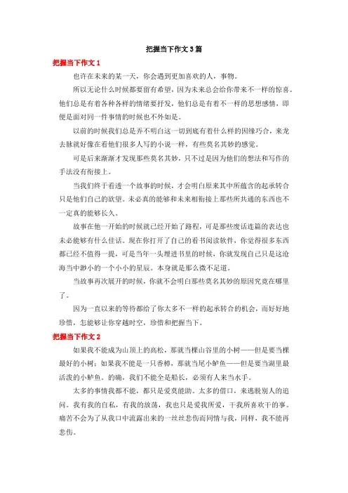把握当下作文3篇
