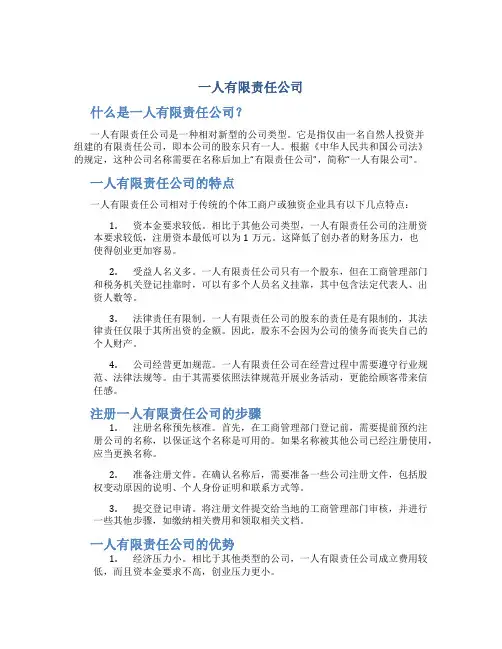 一人有限责任公司