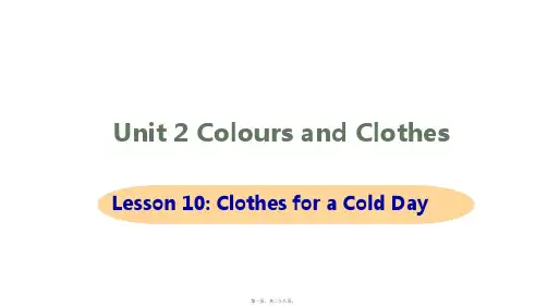 冀教版七年级上册英语Unit 2 Colours and Clothes Lesson 10课件