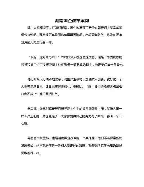 湖南国企改革案例