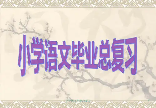 小学语文毕业总复习 ppt课件