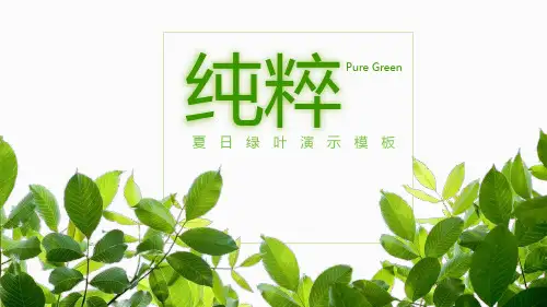清新绿色叶子背景的夏日主题PPT模板