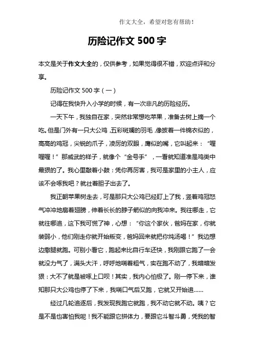 历险记作文500字