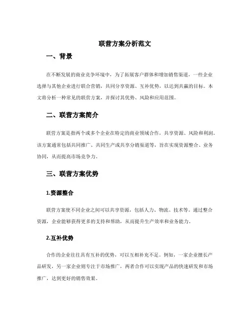 联营方案分析范文