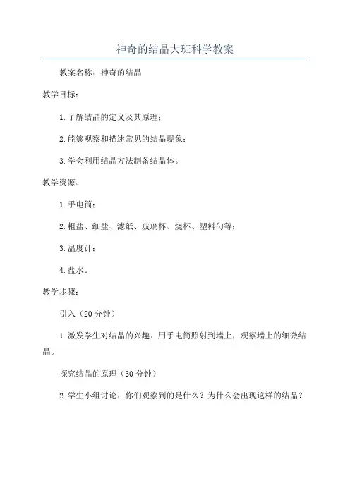 神奇的结晶大班科学教案