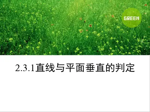 高中数学人教版必修二2.3.1直线与平面垂直的判定