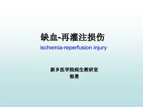 新医课件 缺血-再灌注损伤