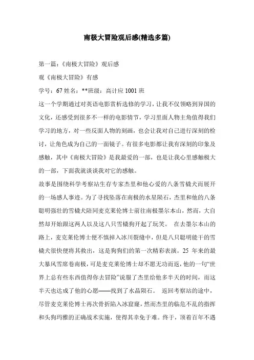 南极大冒险观后感(精选多篇)