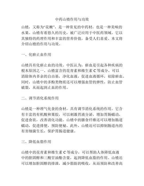 中药山楂作用与功效