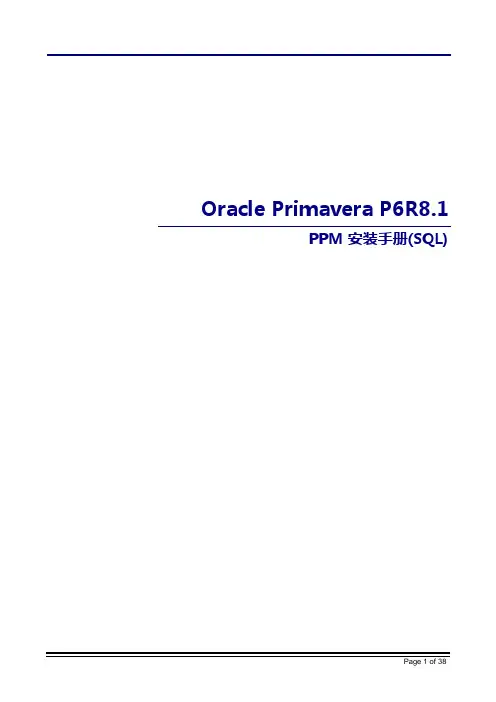 P6R8.1PPM安装手册