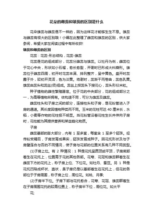 花朵的雌蕊和雄蕊的区别是什么