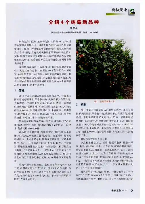 介绍4个树莓新品种