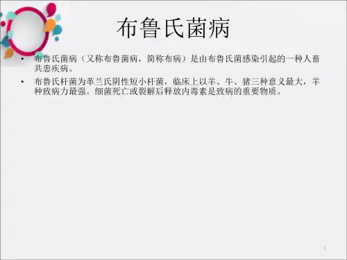 《布鲁氏菌病》PPT课件_OK