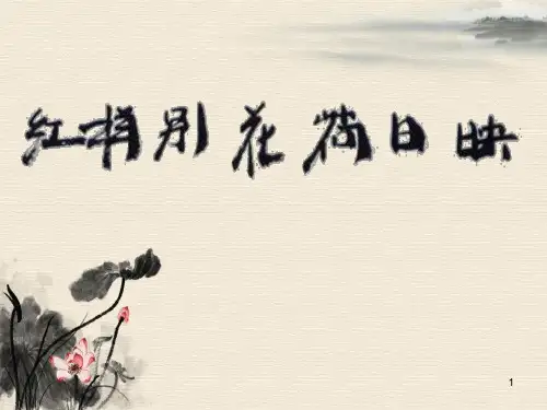 浙美版五年级下册美术《映日荷花别样红》课件