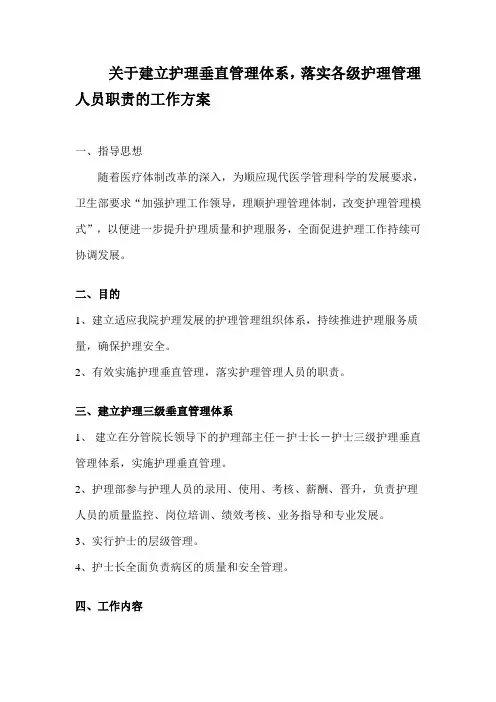 护理垂直管理体系工作方案