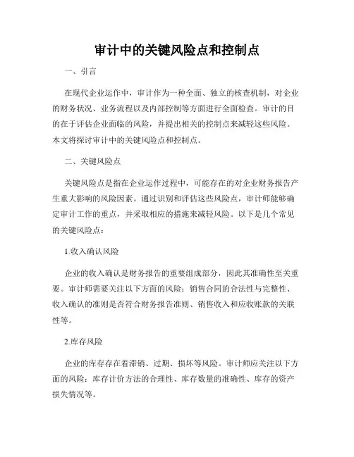 审计中的关键风险点和控制点