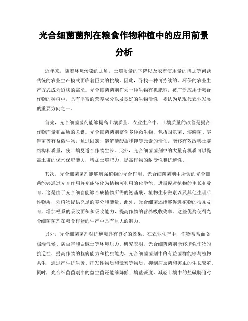 光合细菌菌剂在粮食作物种植中的应用前景分析