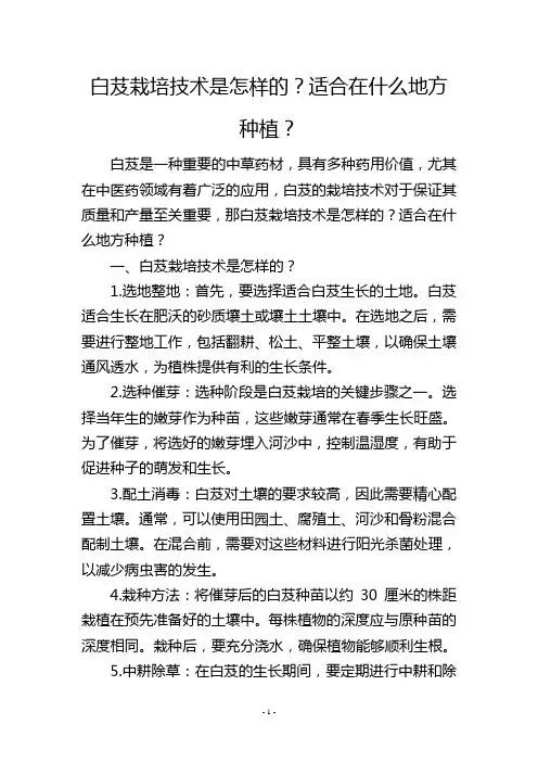 白芨栽培技术是怎样的？适合在什么地方种植？