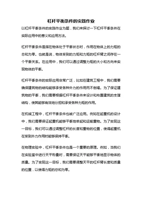 杠杆平衡条件的实践作业