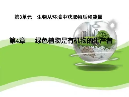 植物的光合作用