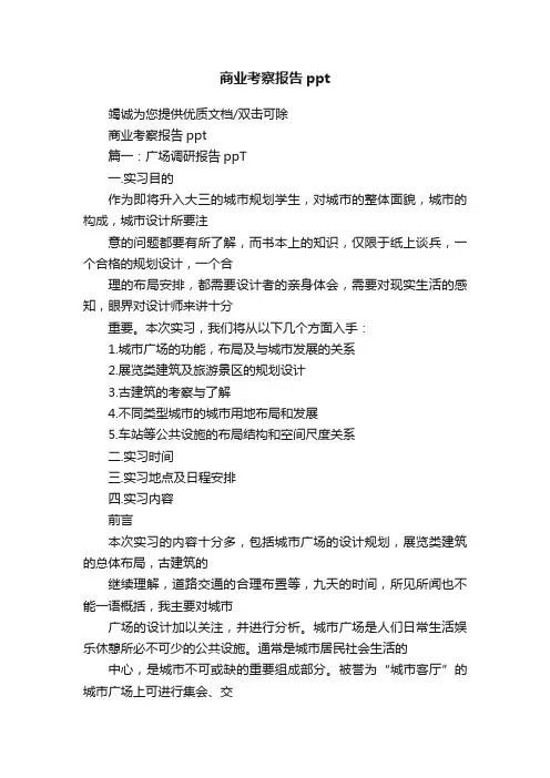 商业考察报告ppt