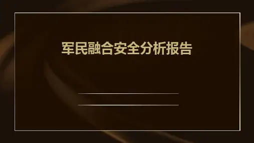 军民融合安全分析报告