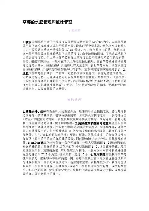 草莓的水肥管理和植株管理