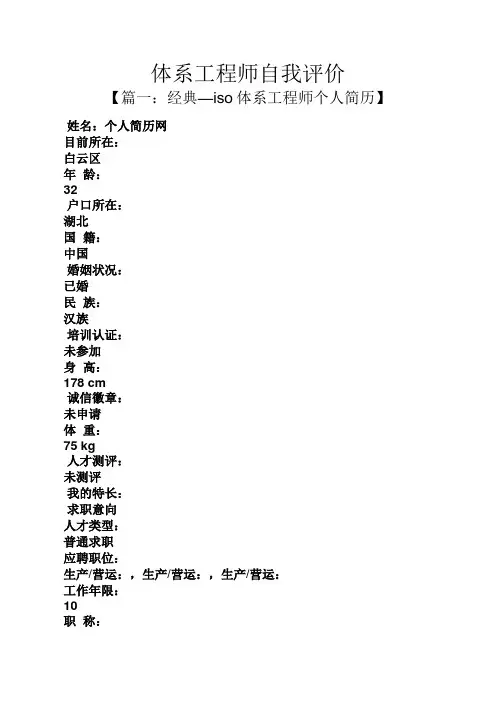 体系工程师自我评价