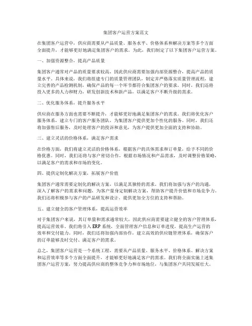 集团客户运营方案范文