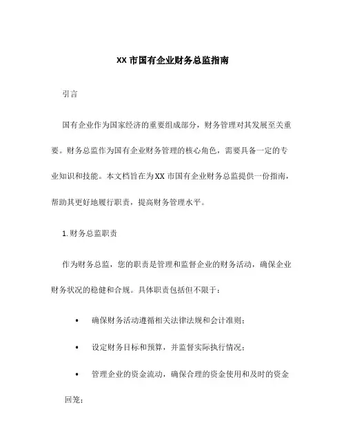 XX市国有企业财务总监指南