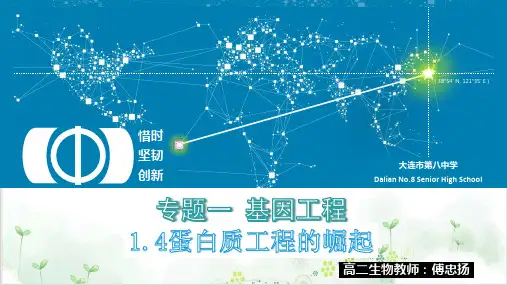 人教版生物选修3专题1、4《蛋白质工程的崛起》名师(17张)-PPT优秀课件