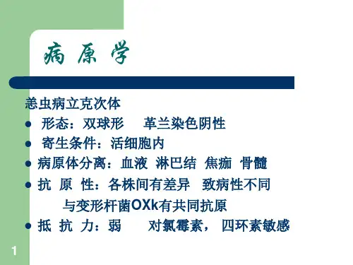 恙虫病 PPT课件