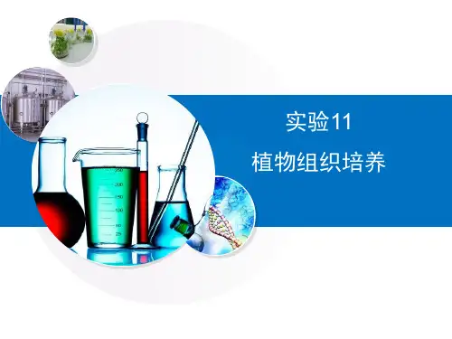 浙科版高二生物选修1_《植物的组织培养》复习课件