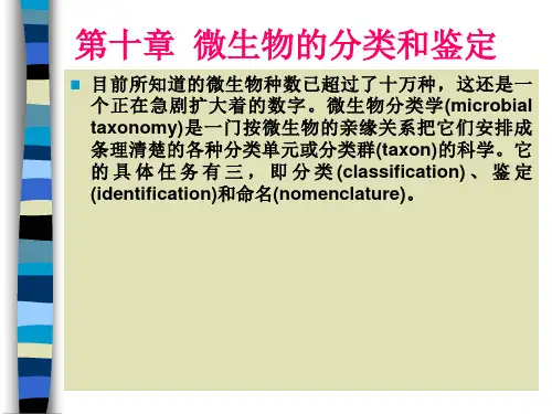 微生物的分类和鉴定