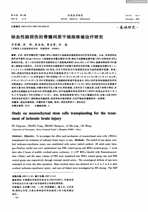 缺血性脑损伤的骨髓间质干细胞移植治疗研究