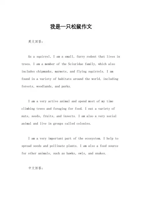 我是一只松鼠作文