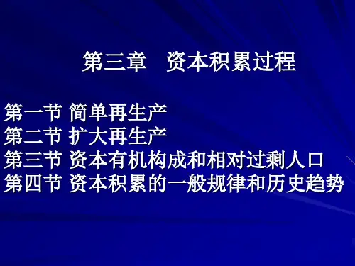 第三章 资本积累过程.ppt
